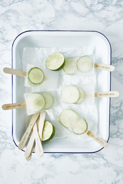 Gin-Tonic-Eislutscher - Copyright: thestepfordhusband.at