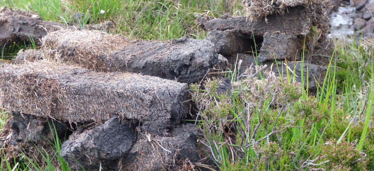 Islay peat